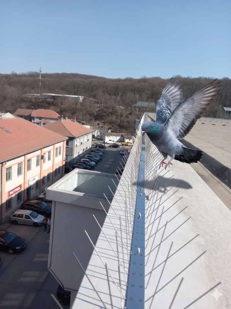 Zaštita 3